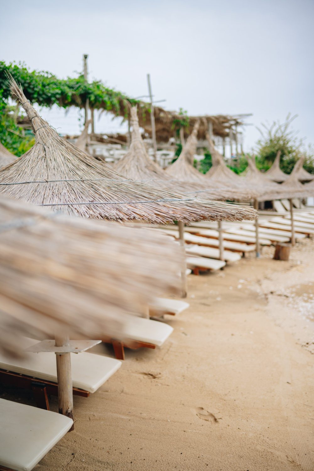 Parasols on Levan Island Istria